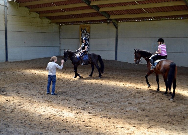 Cours adultes au Zebra
