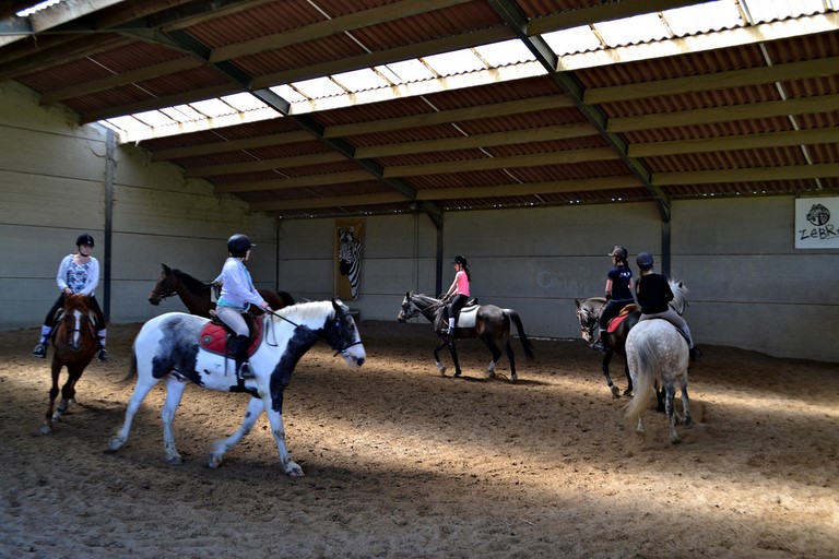 Enfants à poney au Zebra