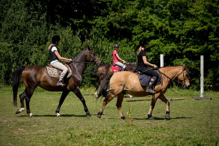 Moment de complicité au cours